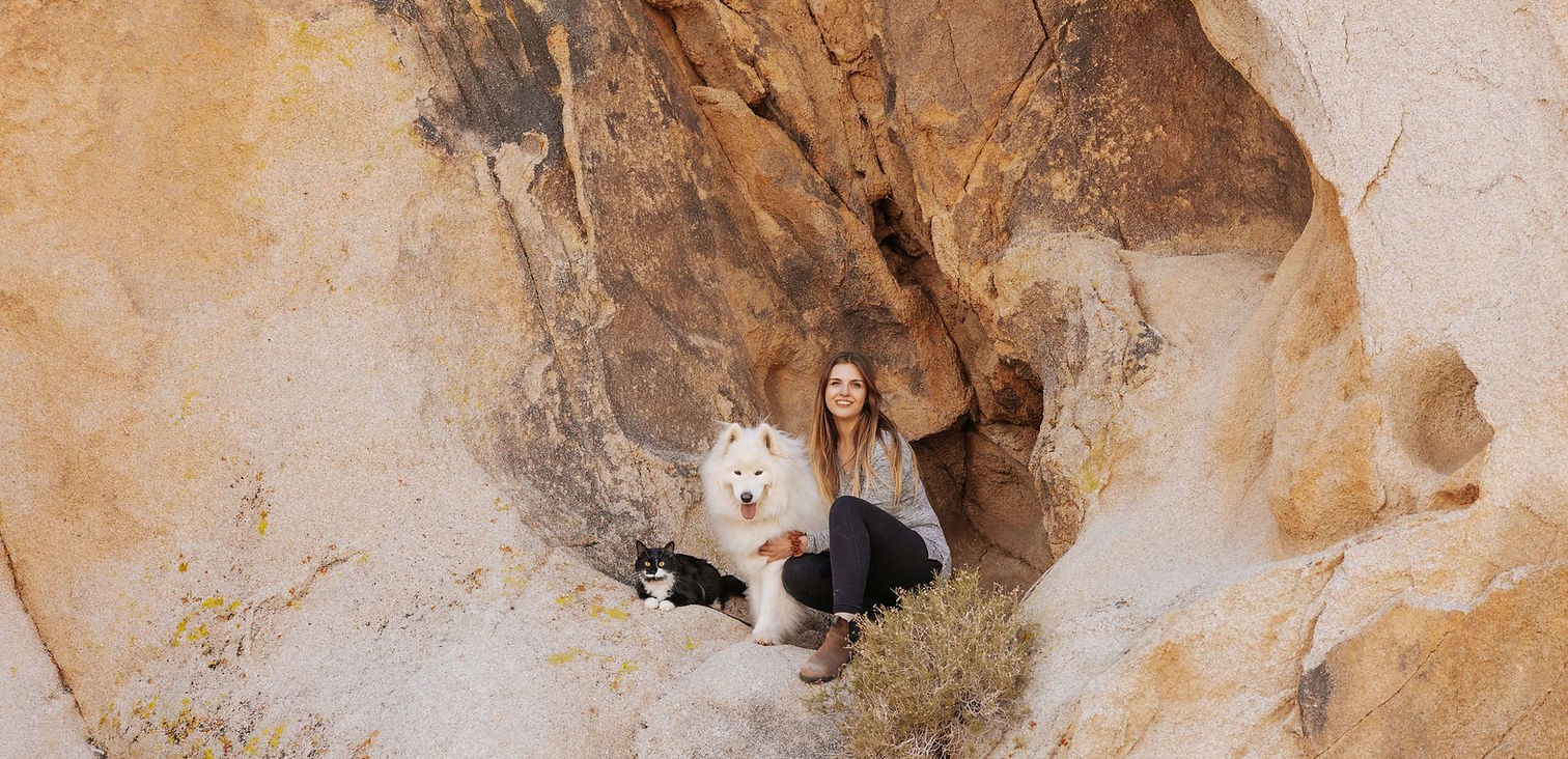 ORIJEN Dog & Cat (Andrew Knapp Photography) 16.jpg