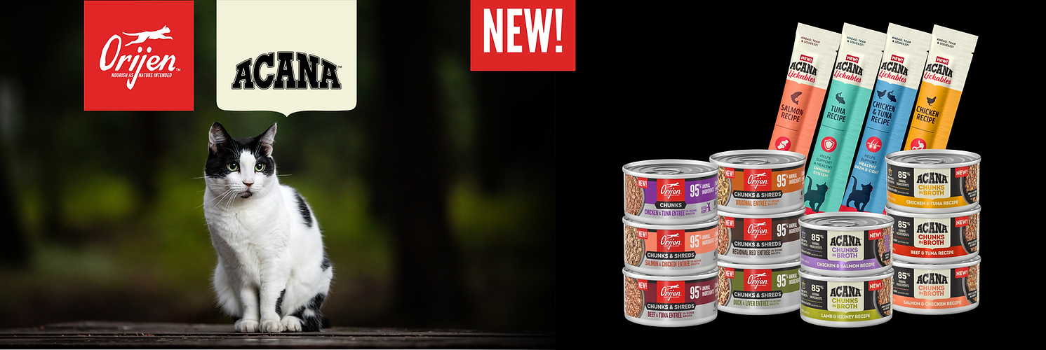 CPF - New Product header Wixsite (2).png