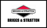 Briggs & Stratton Parts