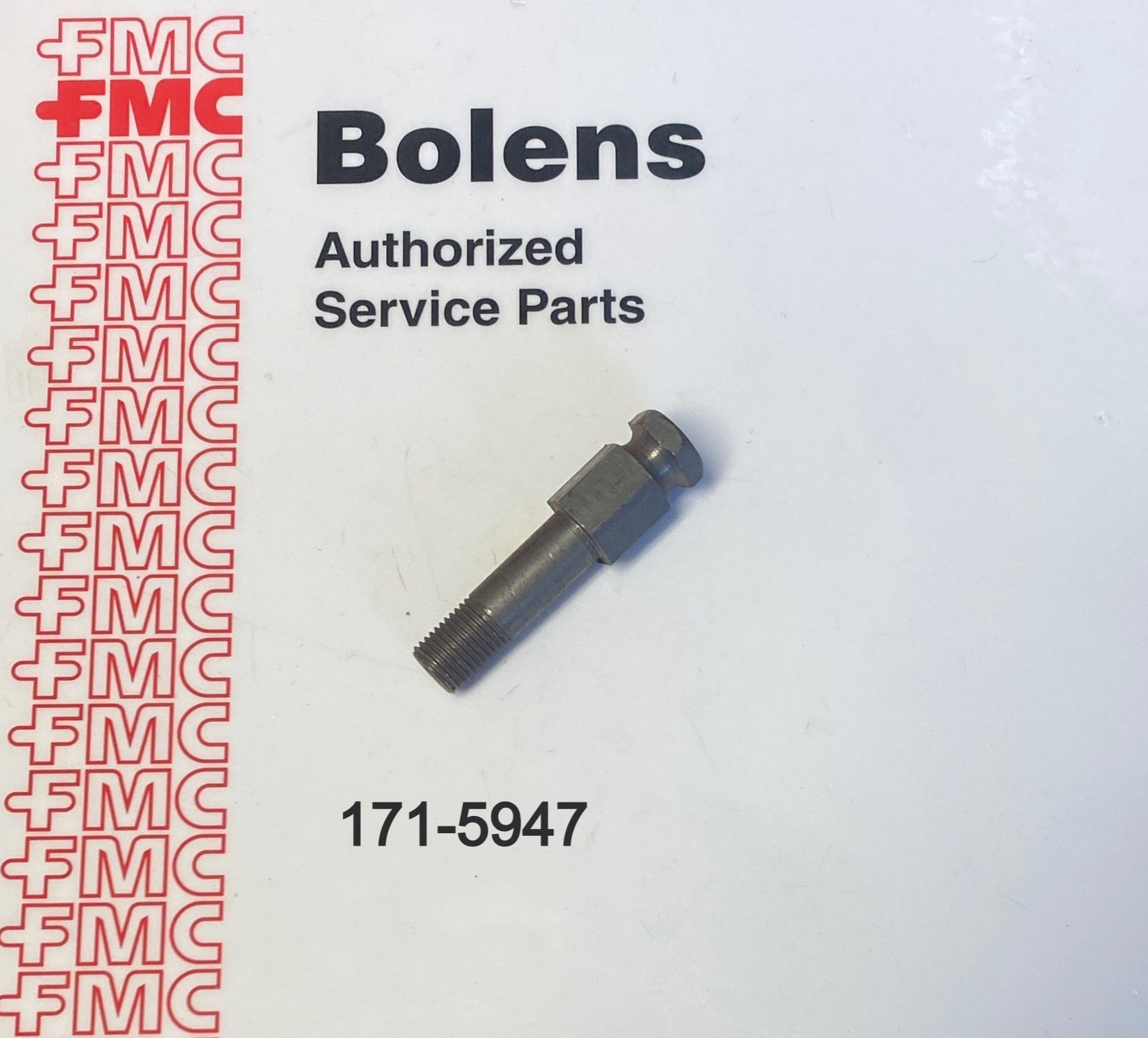 171-5947 Bolens Screw