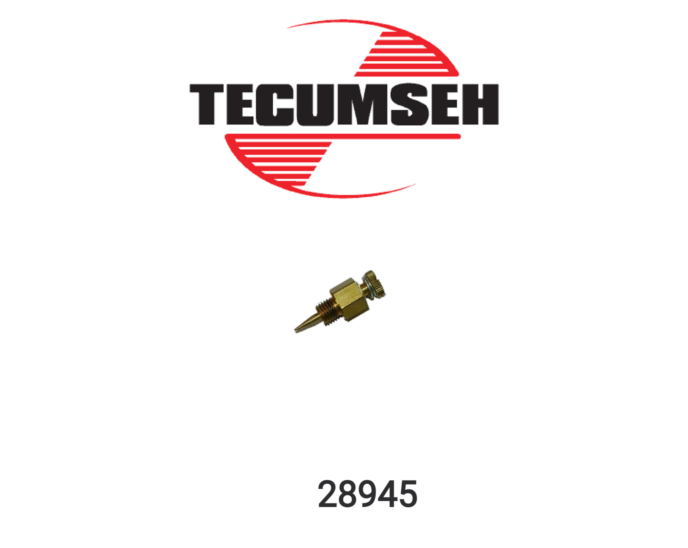 28945 Tecumseh Power Screw - 100-506 Walbro
