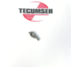 590484 Tecumseh Engine Starter Dog
