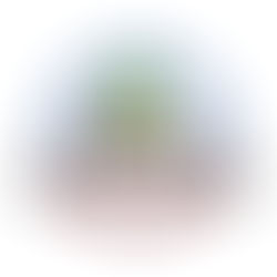 Join us in celebrating 7 years of Sam's Bolens, LLC on Facebook!