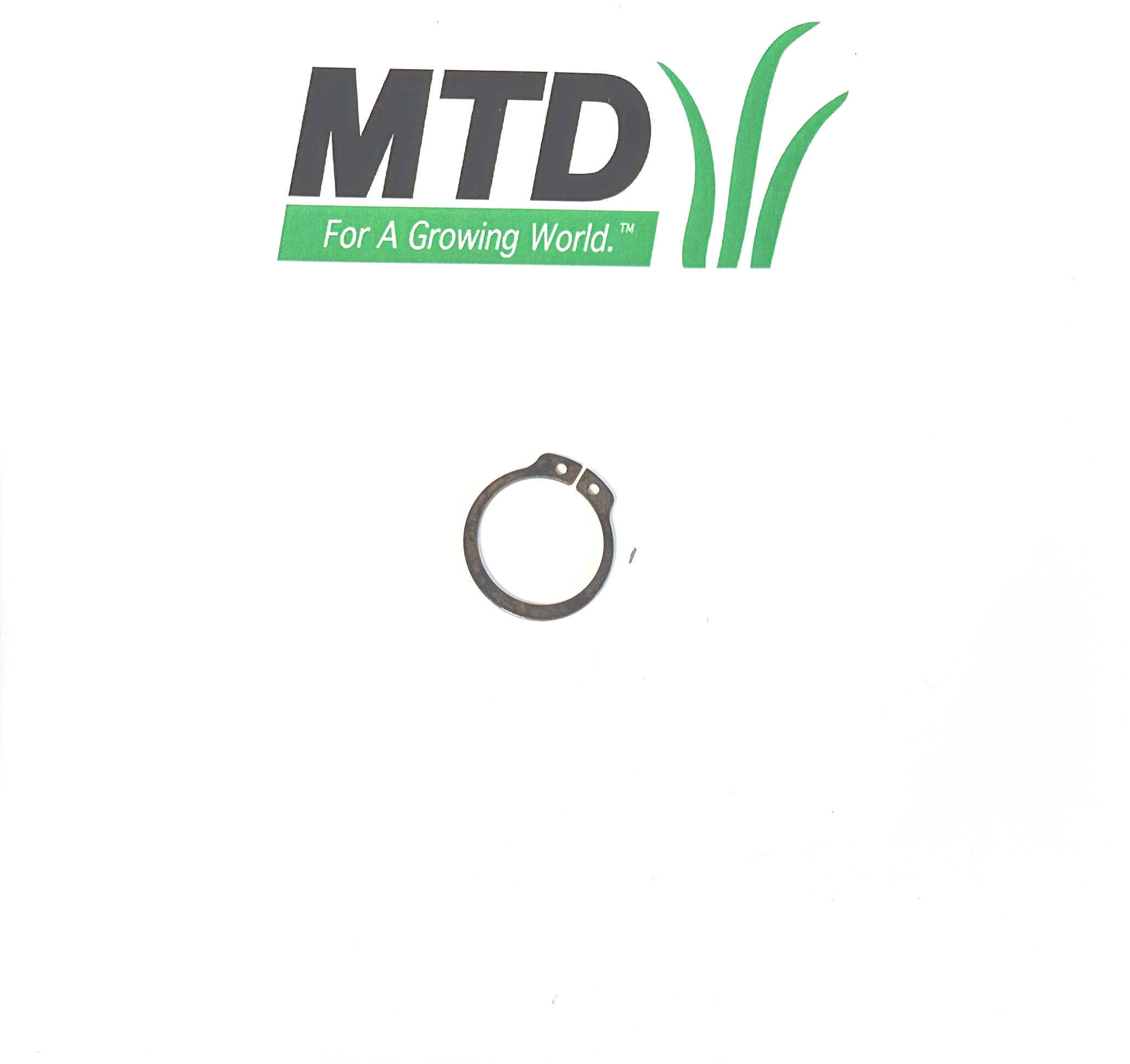 GW-P406901 MTD Snap Ring