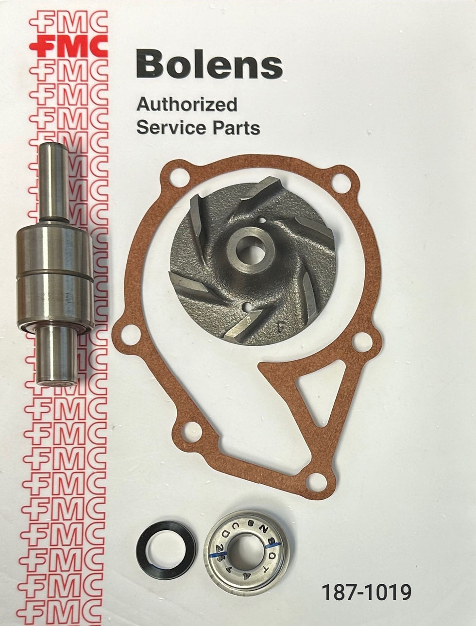 187-1019 Bolens Water Pump Repair Kit