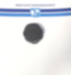 0430440660 Wisconsin Engine Gas Cap