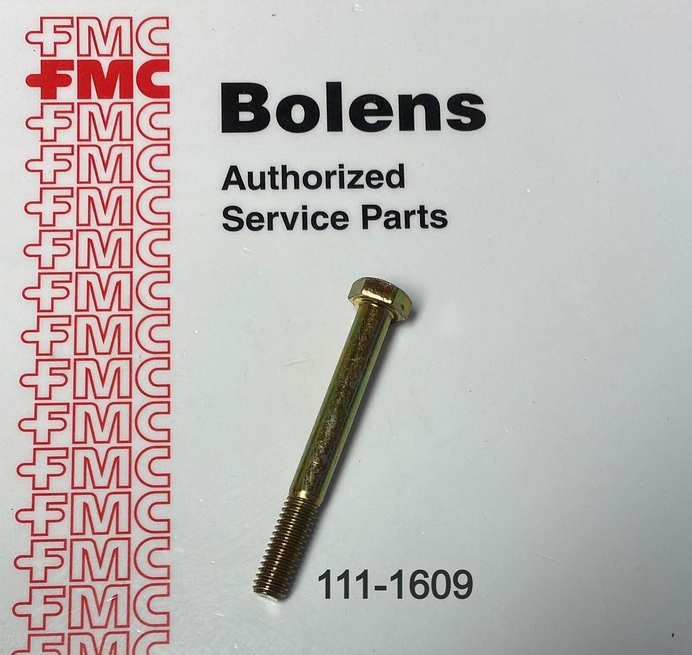111-1609 Bolens Screw
