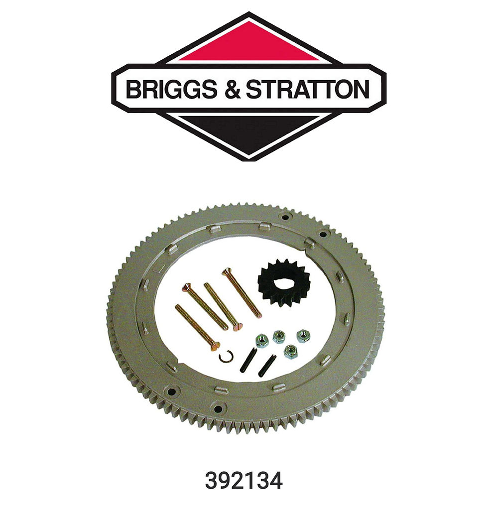 392134 Briggs & Stratton Flywheel Ring Gear 696537, 399676