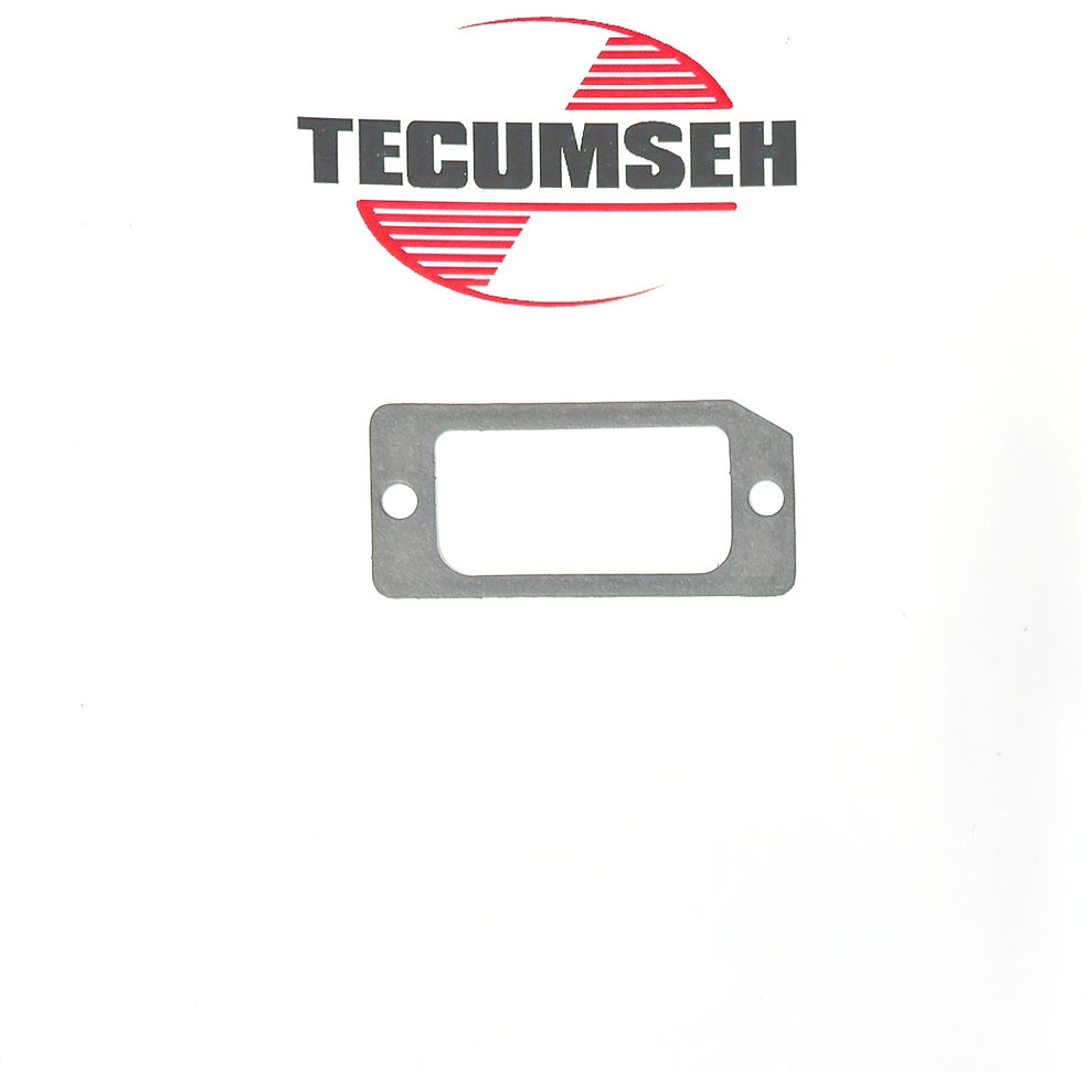 31619A Tecumseh Engine Gasket