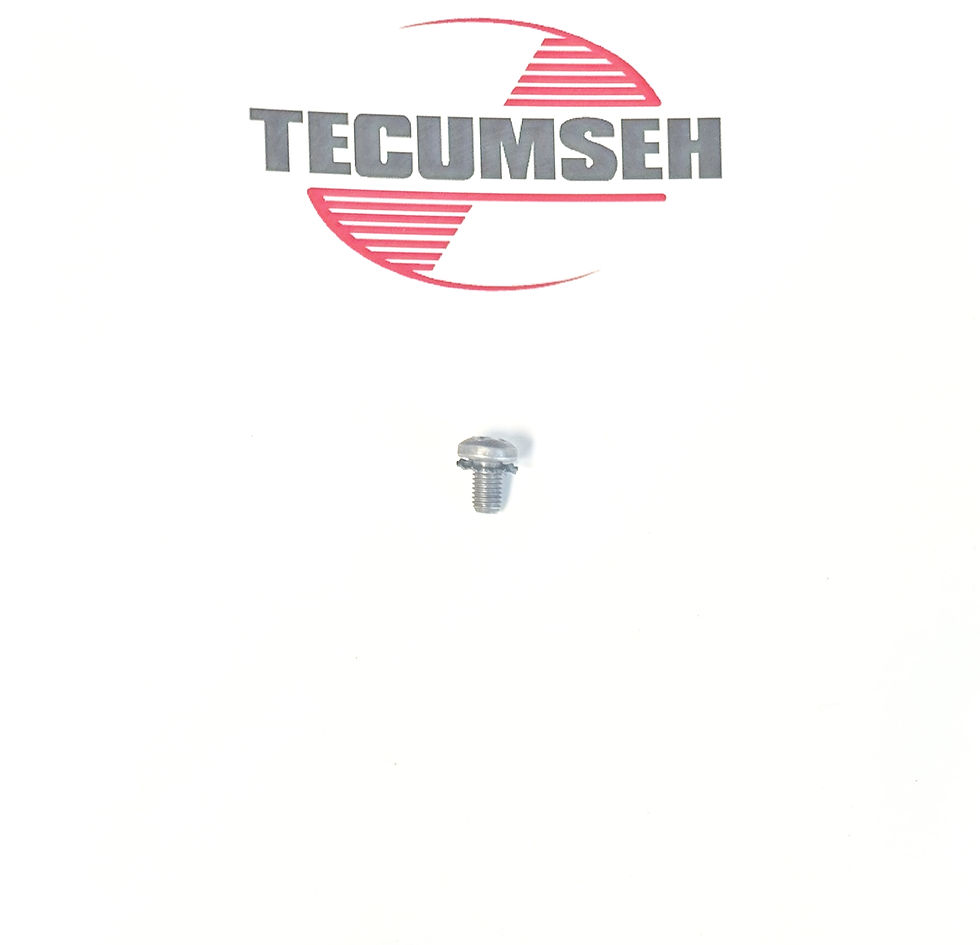 29716 Tecumseh Engine Screw