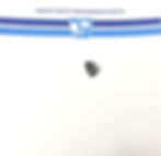 20140001 Wisconsin Engine Bushing