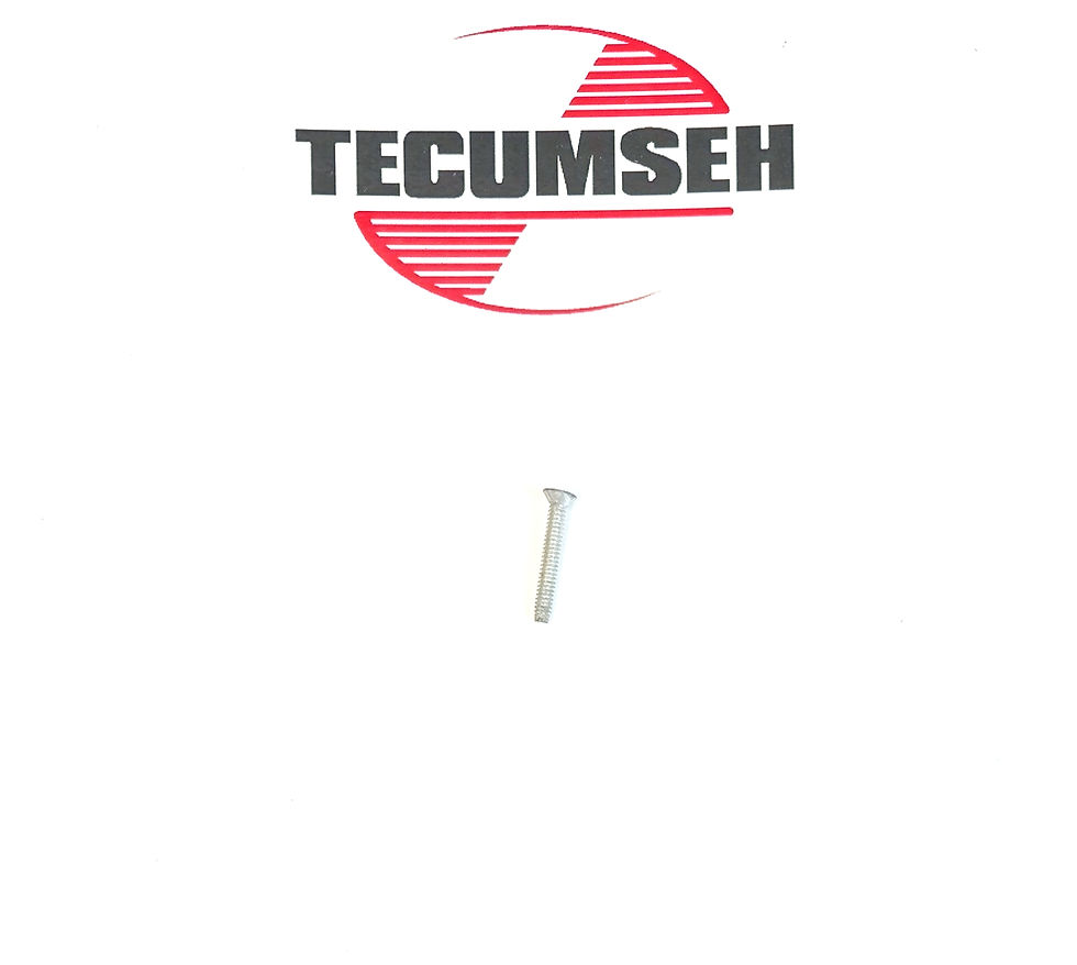 33447 Tecumseh Engine Screw