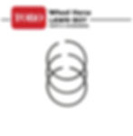 678422 Toro Lawn-Boy Piston Ring Set