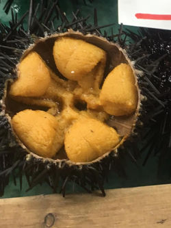 540081_1925700220997389_1047773810284403636_n