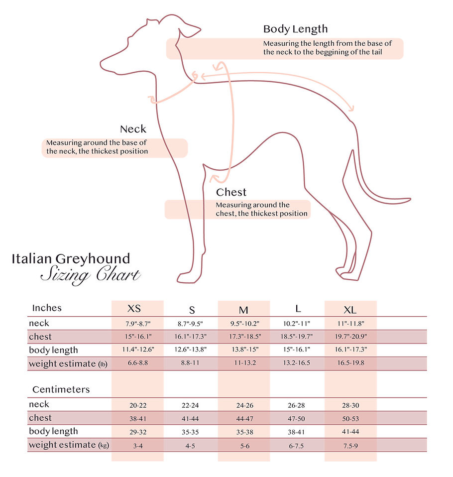 IGGY SIZING CHART.jpg