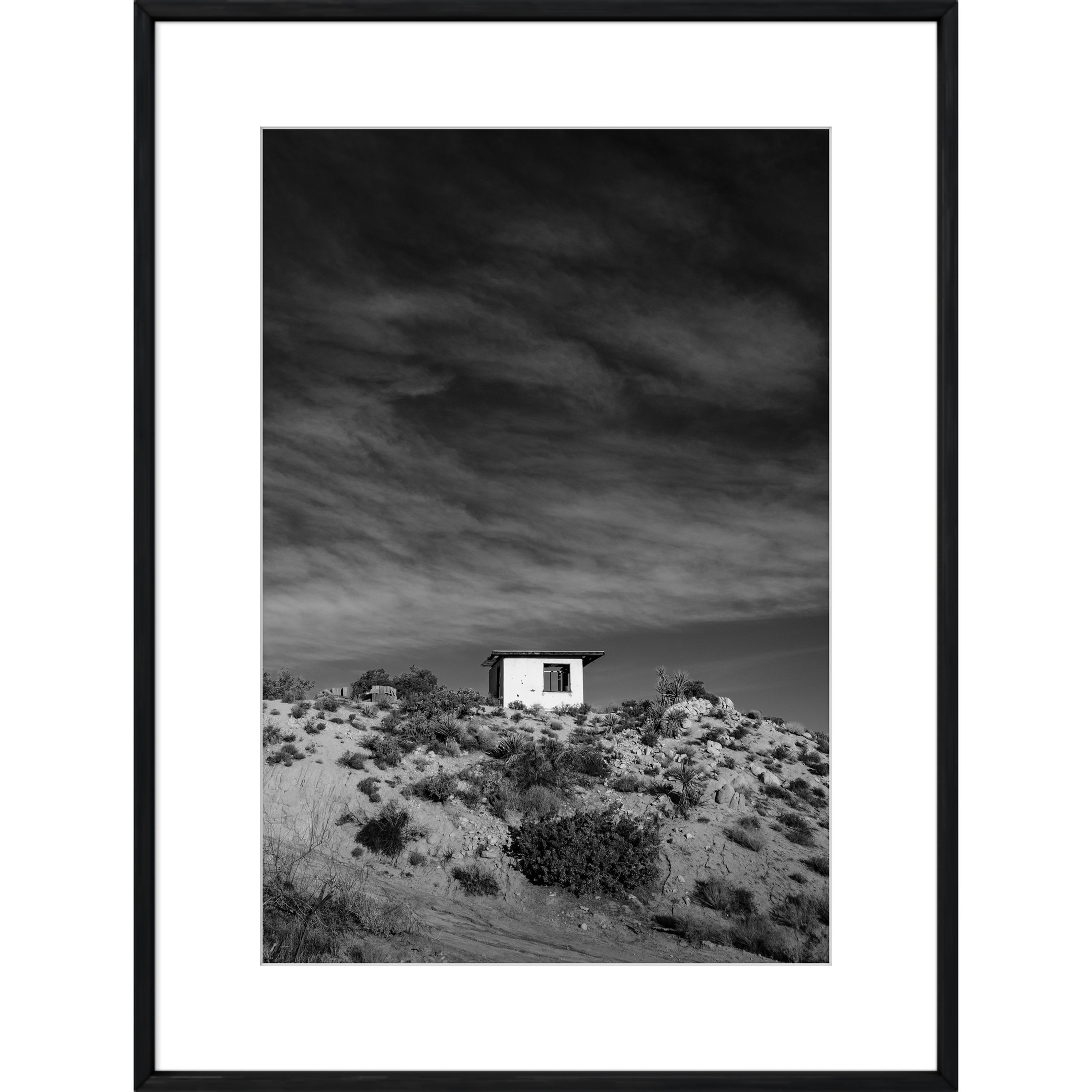 High Mojave - Yucca Valley California Desert Fine Art Photograph