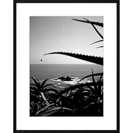 Framed and matted fine art photograph of Tri-X