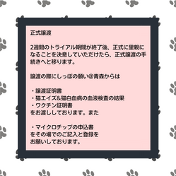 10.png