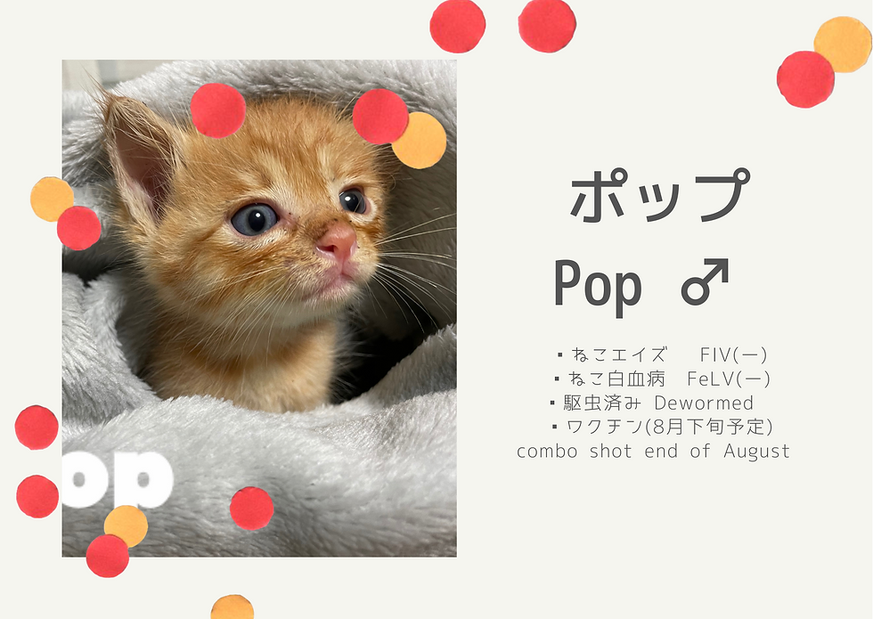 2021/12/1 正式譲渡
