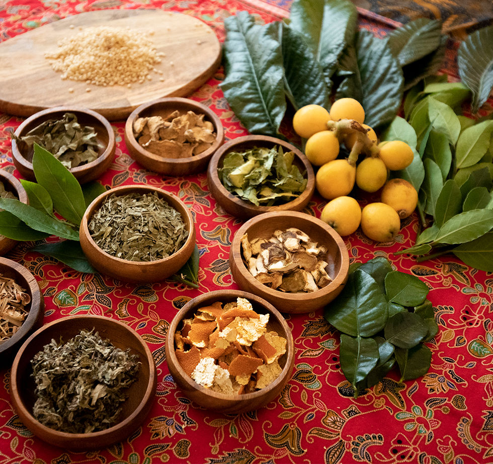 ハーブやお米、びわの写真