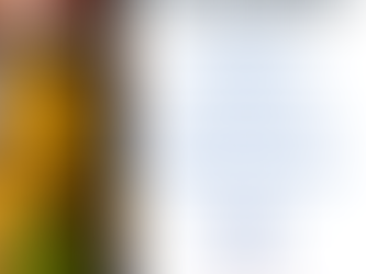 WISE Workout Wednesdays!