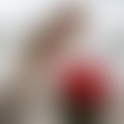 Романтика   весняного вечора на даху в Києві