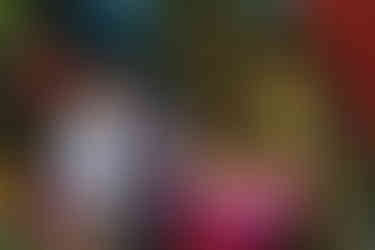 Вечеря в оранжереї Київ. романтик