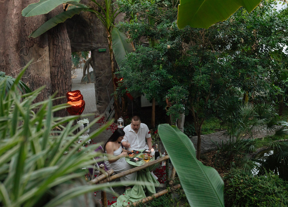 Романтична вечеря в оранжереї. Київ. романтик