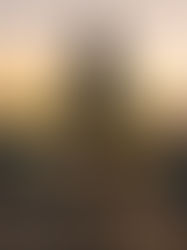 Романтичне освдчення в чарівний літній вечір на даху Альтечо