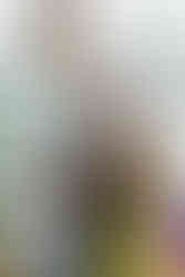 most romantic place in Kiev