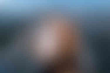 Романтичний  вечір.. Київ.романтик