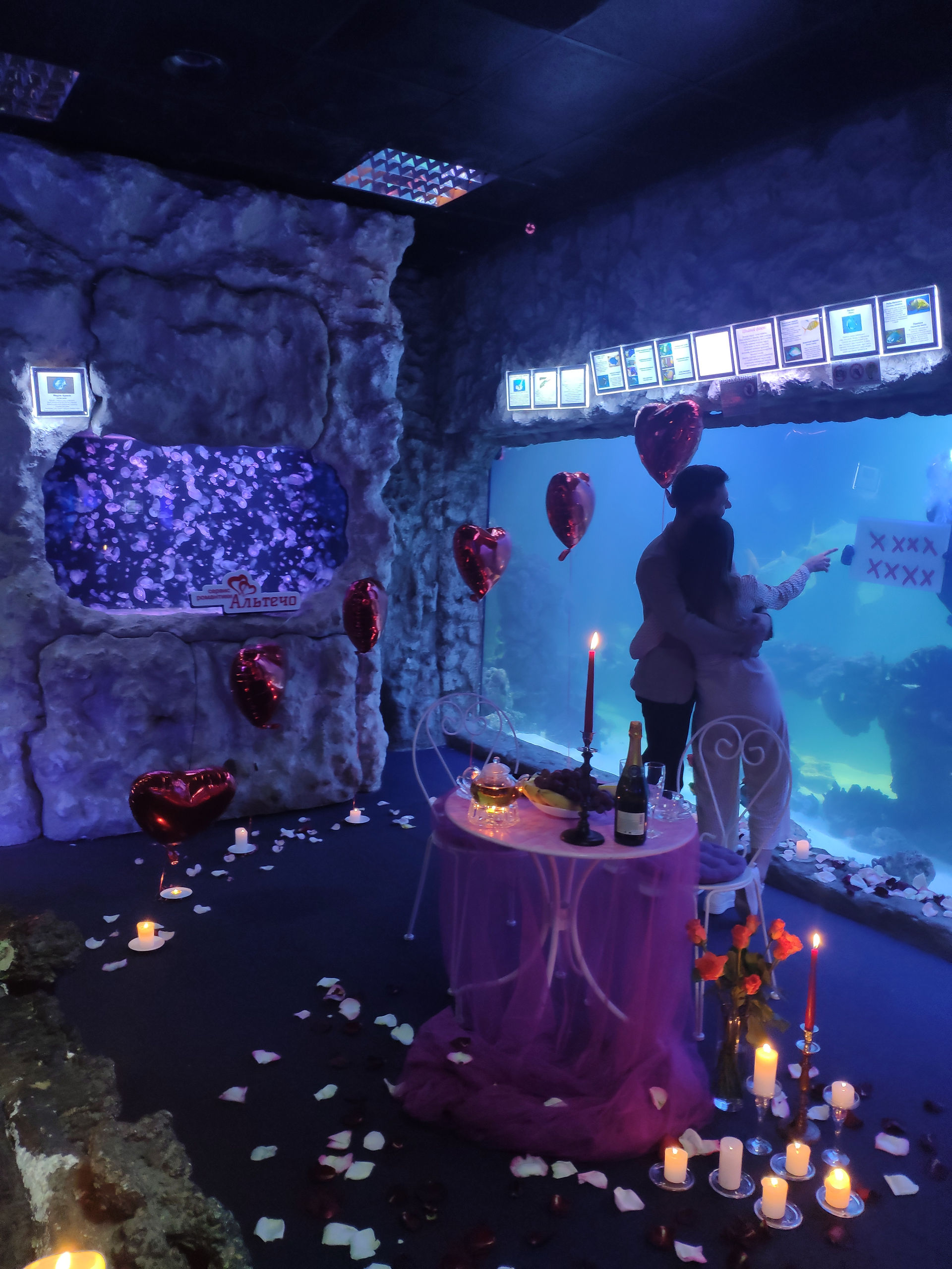 ужин в океанариуме, Киев, romantic
