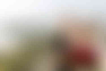 Освідчення на даху. Київ. Романтик