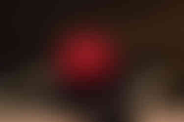 Як зробити пропозицію. Київ. Романтик