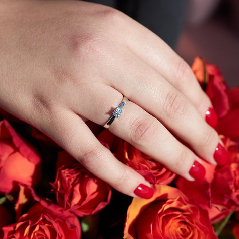 Пропозиція руки та серця в весняний день на даху Альтечо