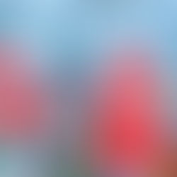 Свидание на крыше с красивым видом на Киев