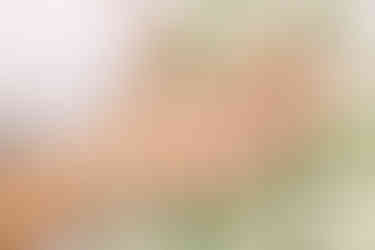 Освідчення на даху. Київ. Романтик