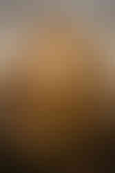 most romantic place in Kiev