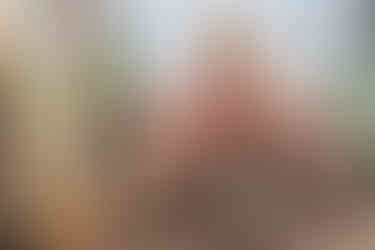 Вечеря на даху Київ.романтик