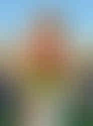 как сделать предложение, romantic