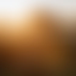 Романтична вечеря в Києві на даху