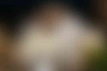 Як зробити пропозицію. Київ. Романтик