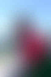 романтические рестораны Киева, romantic