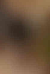 фотосесія в ресторані Панорама .Київ