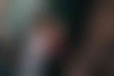 романтический ужин в ботаническом саду