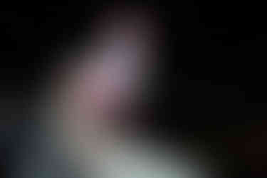 крыши Киева