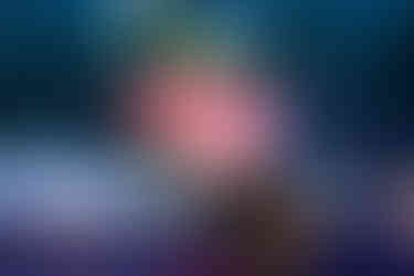 Побачення  в океанаріумі. Київ. романтик