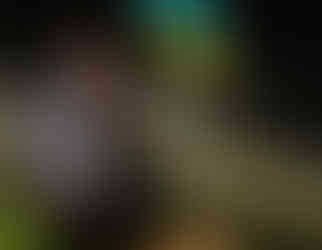 панорамні ресторани Києва romantic