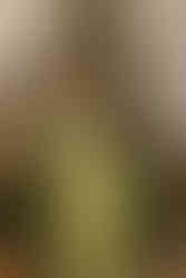 фотосессія в Києві. романтик