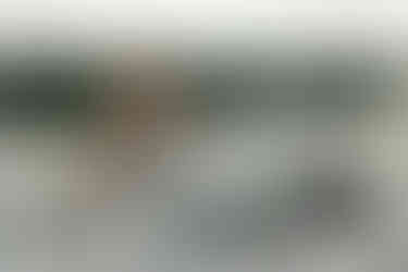 Побачення на катері. Київ. романтик